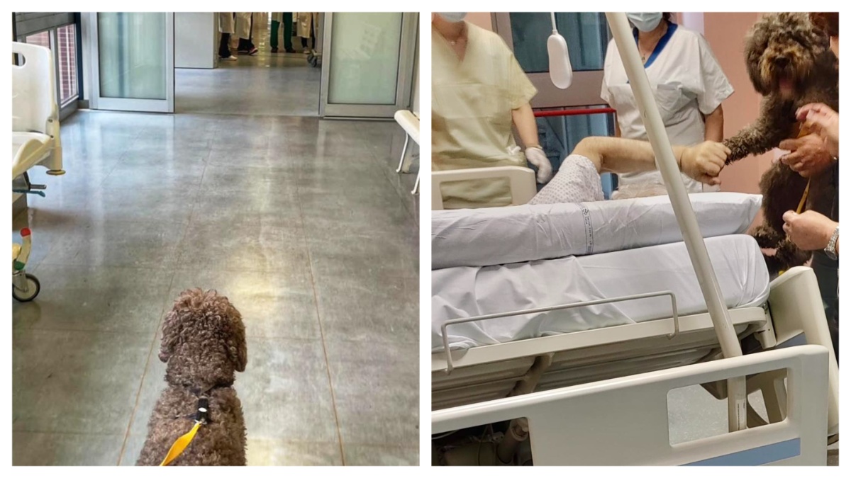 Malato terminale chiede di vedere per l’ultima volta il suo cane, l’addio è straziante